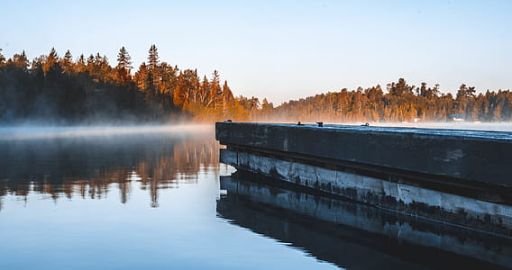 Body of Water Surrounded by Brown Leaf Trees thumbnail