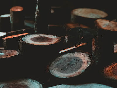 tree trunk lot thumbnail