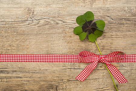 green charm plant wall decor thumbnail