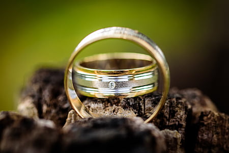 two gold-colored wedding rings on brown surface thumbnail