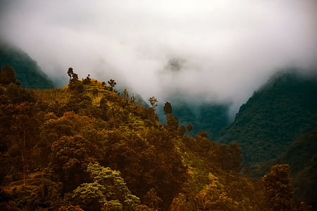painting of brown and green mountains thumbnail