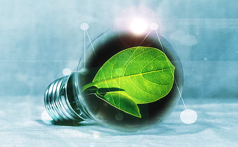 green leaf inside LED bulb graphics art thumbnail