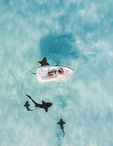 person on inflatable boat during daytime thumbnail