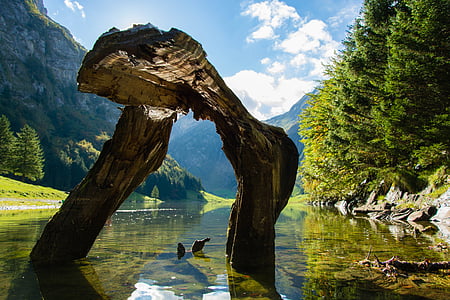 rock formation in the middle of body of water thumbnail