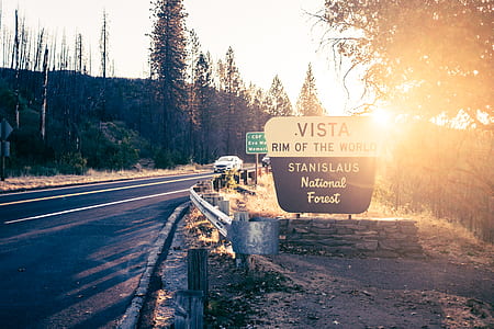 Vista signage beside the road surrounded with bare trees thumbnail