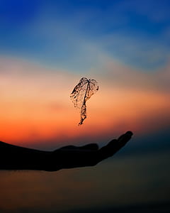 person's hand silhouette thumbnail