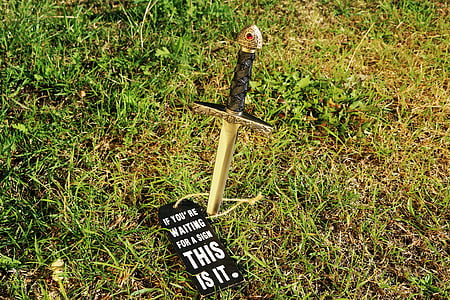 gray sword with stab on ground with grass thumbnail