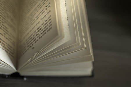 Opened Book on Black Surface thumbnail