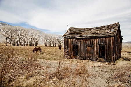wooden house near the horsae thumbnail
