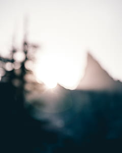 sunlight, bokeh, blurry, blurred thumbnail