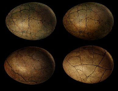 four gray egg decors with black background thumbnail