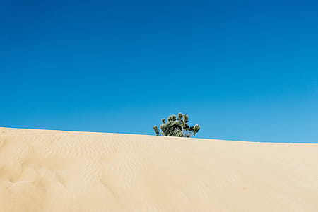 landscape, nature, sand, sun thumbnail