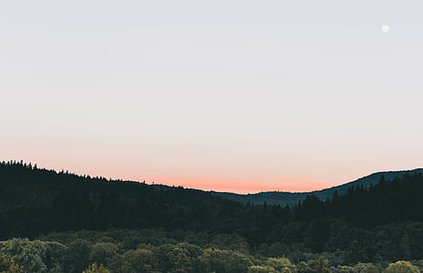 forest and mountains during day thumbnail