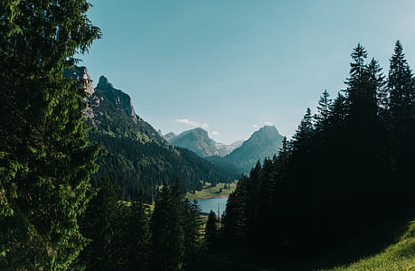 landscape photography of mountains with trees thumbnail