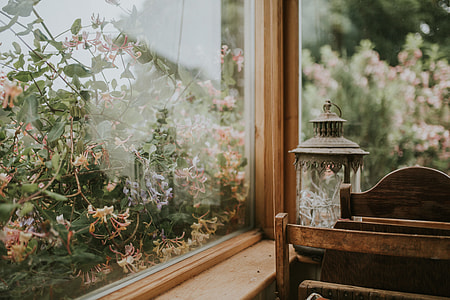 black lantern beside plants thumbnail