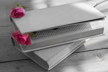 pink rose on book thumbnail