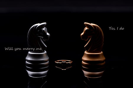 black and brown horse chess pieces thumbnail
