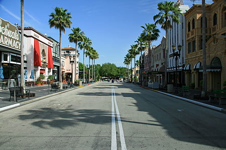 town with houses and trees thumbnail