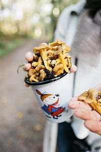 person holding bucket of mushrooms thumbnail