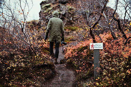 A hiker in hooded jacket and carrying a camera hiking through the bush thumbnail