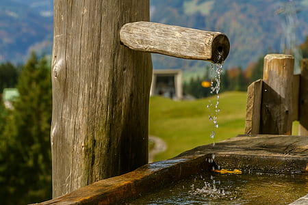 time lapse photography of water drops from tree thumbnail