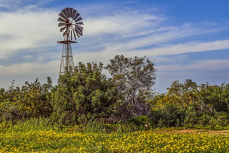 windmill beside plants thumbnail