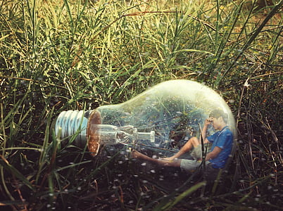 clear glass light bulb photo during daytime thumbnail