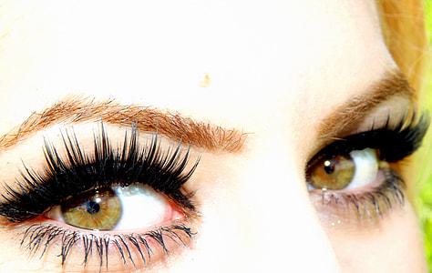 close-up photography of woman wearing black mascara, false eyelashes and brown eyebrow liner thumbnail