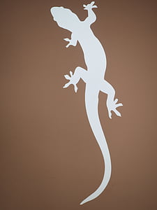 lizard logo thumbnail