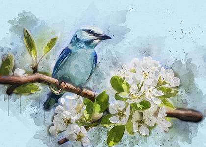bluebird painting thumbnail