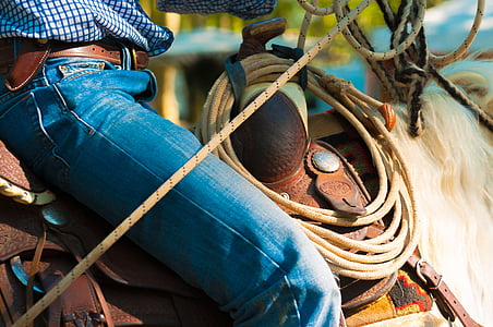 person riding horse with saddle and whip thumbnail