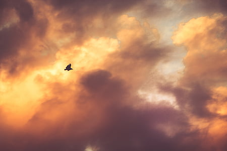 cumulus clouds thumbnail