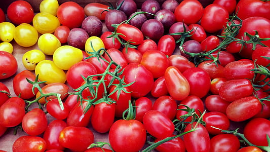 bunch of red, yellow, and purple cherry tomatoes 1 thumbnail