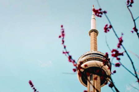 architecture, high, amusement park, tower thumbnail