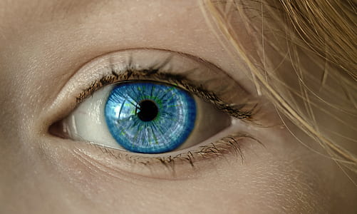 human eye thumbnail