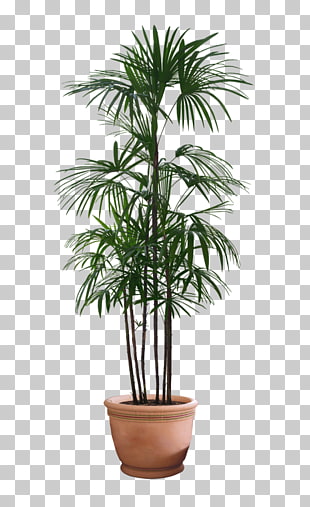 Couch Flowerpot Living room Sofa bed, plant, green palm leaf plant PNG clipart