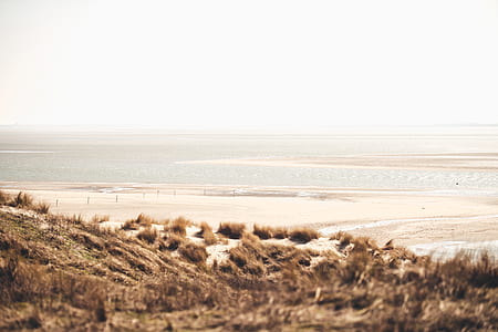tilt shift lens photo of seashore thumbnail