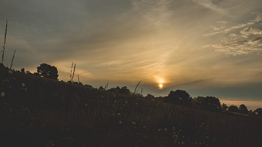 light, dawn, landscape, nature thumbnail