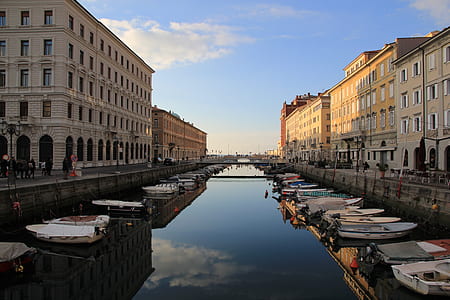 boats beside buildings thumbnail