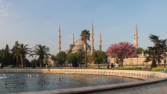 white mosque near water fountain at daytime landscape photography thumbnail