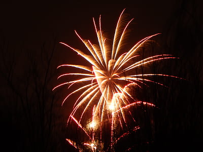 fireworks on sky thumbnail