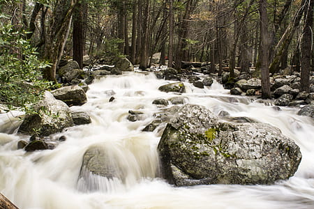 Rocks and Trees on Running Water thumbnail