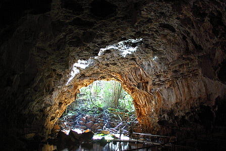 photo of brown cave near green leafed tree thumbnail