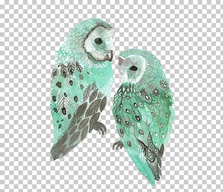 Barn Owl Bird Drawing Watercolor Painting Hand Painted Owl Two
