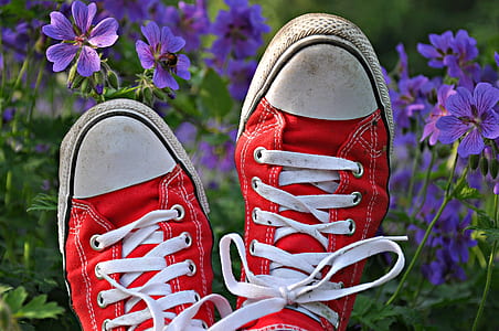 pair of red Converse low-top sneakers near purple petaled flower thumbnail