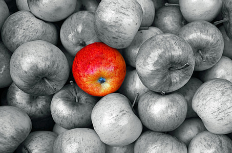 selective color photography of red apple fruit thumbnail