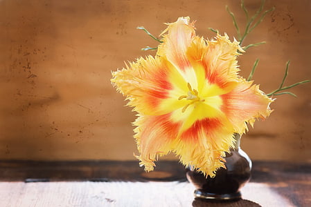 yellow petaled flower thumbnail