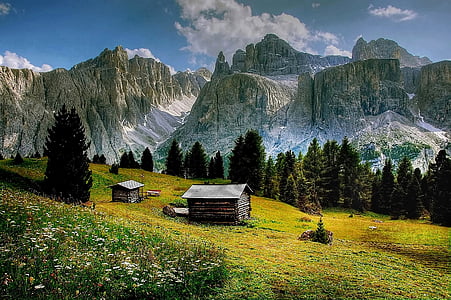 landscape photography of house surrounded with grass field painting thumbnail