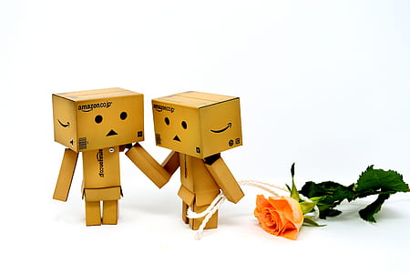 two brown cardboard boxes character beside rose thumbnail