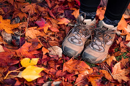 pair of orange hiking shoes thumbnail